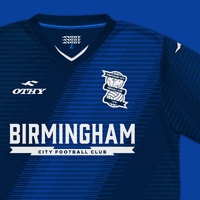 Birmingham City - Third