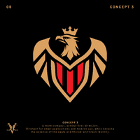 OGC NICE CREST REDESIGN