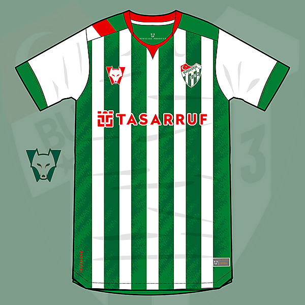 Bursaspor home