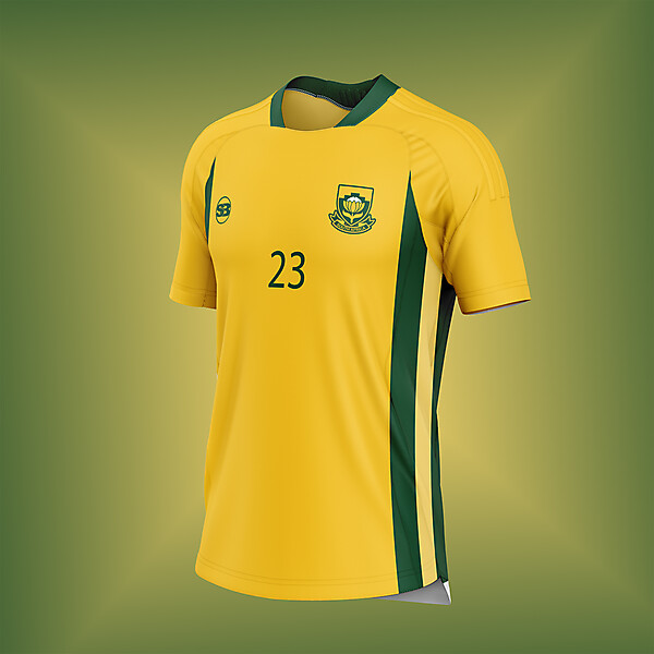 South Africa home concept