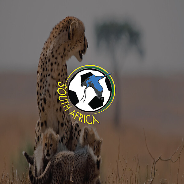 South Africa - The Blue Cranes