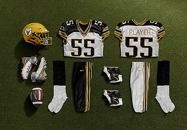 Macarthur FC Bulls - A League toNFL