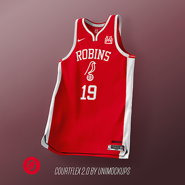 Bristol City NBA crossover