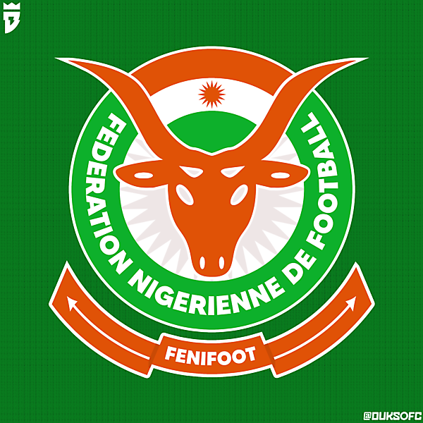 FENIFOOT Niger | Logo Redesign