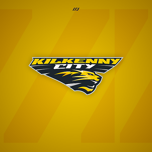Kilkenny City AFC