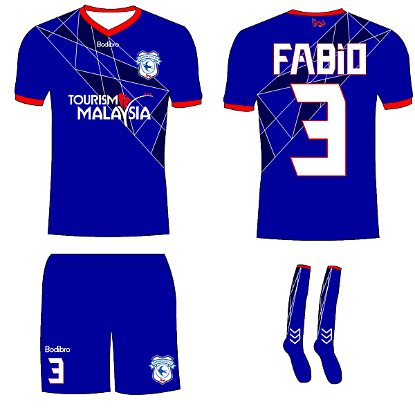 Cardiff City Home- Bodibro Hazard Template