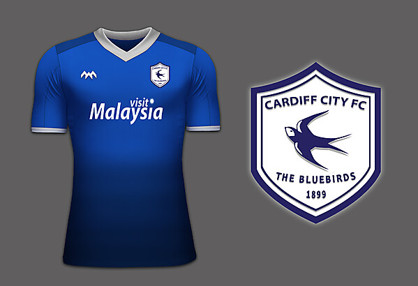 Cardiff Rebrand 2015