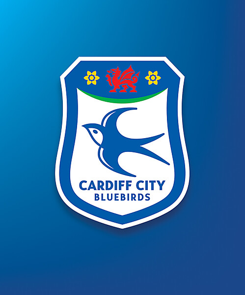 Cardiff City FC 1