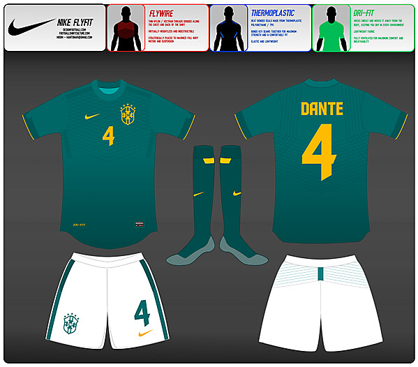 (2) Nike Fly-Fit  : Brasil