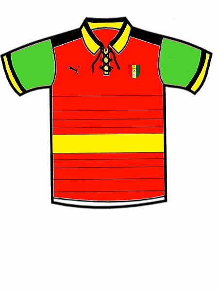 Guinea national \'Robin\' kit