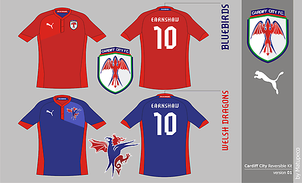 Cardiff City FC version 01