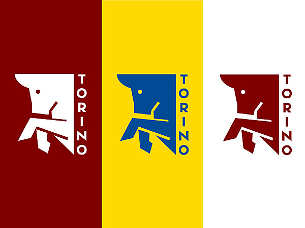 TORINO REBRAND KITS