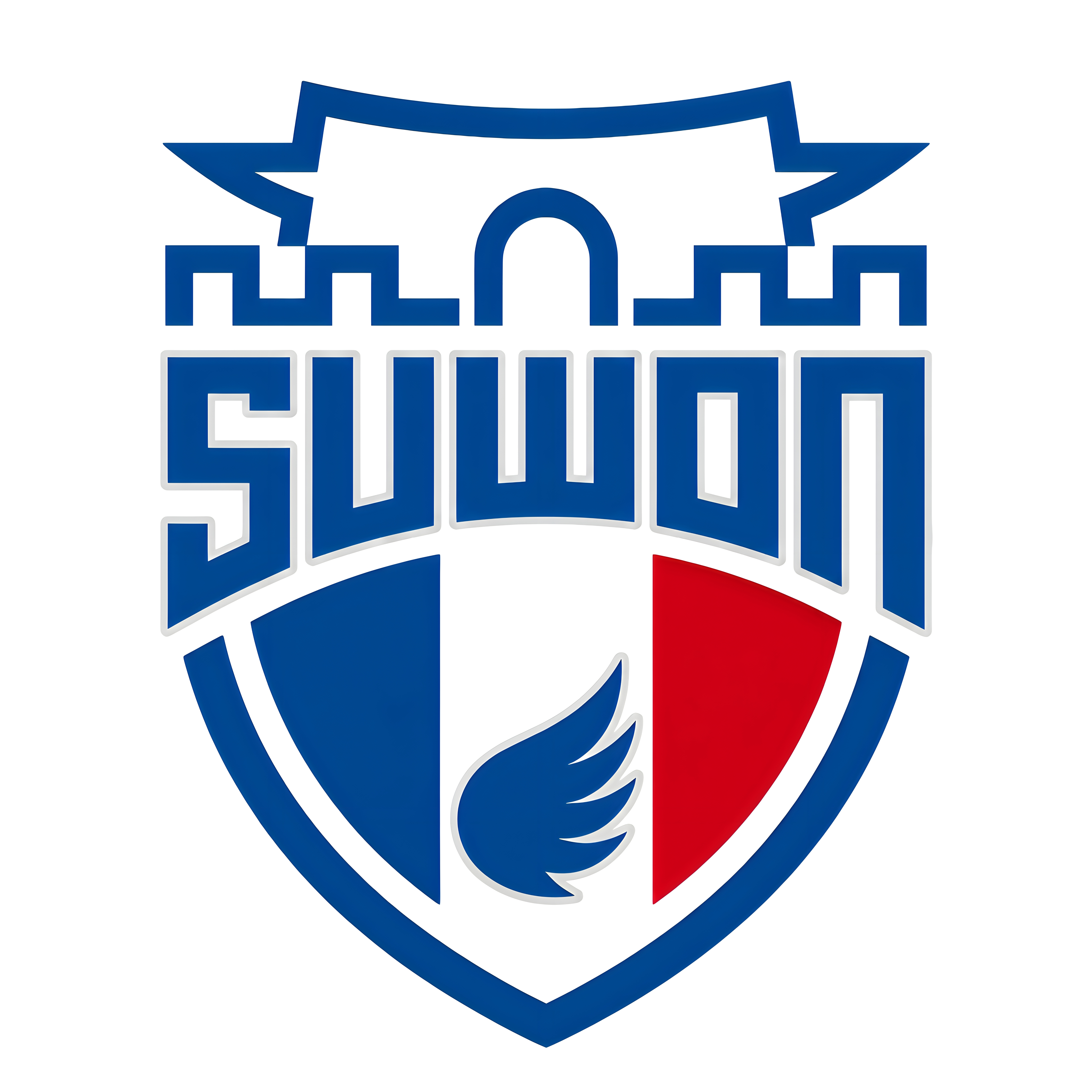 Suwon Samsung Blue Wings Football Club (South Korea K League)