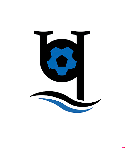 Chernomorets Odessa logo.