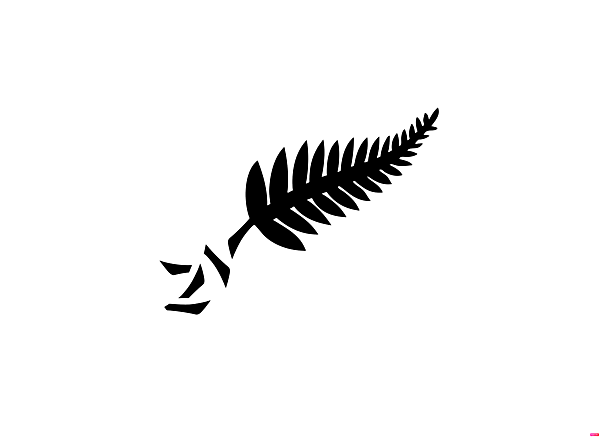 New Zealand football logo.