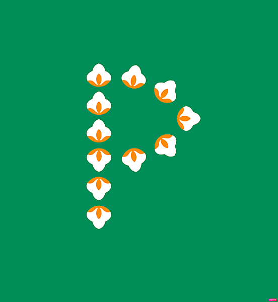 Pakhtakor Tashkent logo.