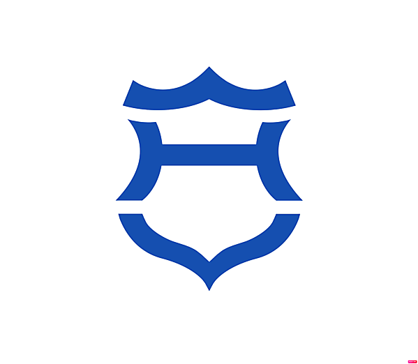 Hoffenheim TSG 1899 logo .