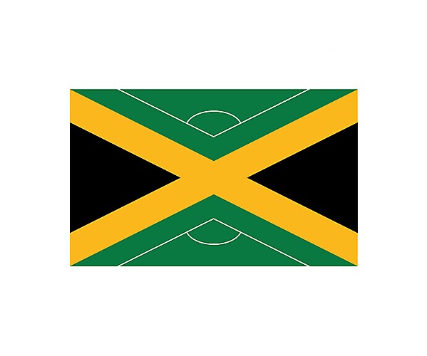 Jamaica Football Federation  logo .