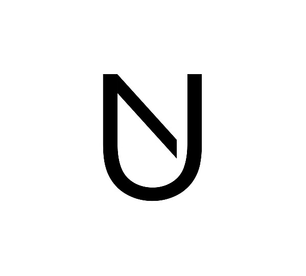 Newcastle United logo .