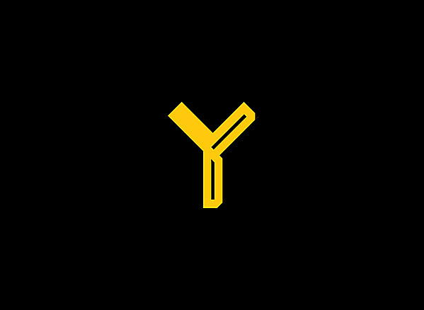 BSC Young Boys logo .