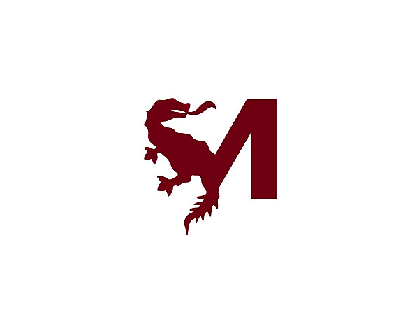 FC Metz logo .
