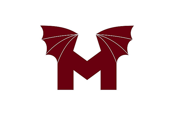 FC Metz logo .