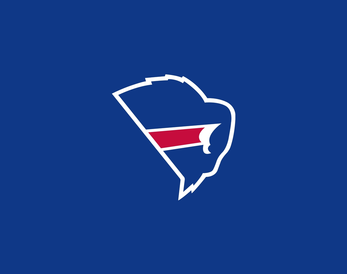 Buffalo Bills logo .