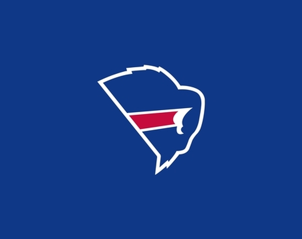 Buffalo Bills logo .