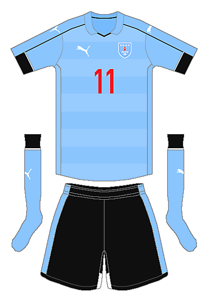 Uruguay Puma Home Kit