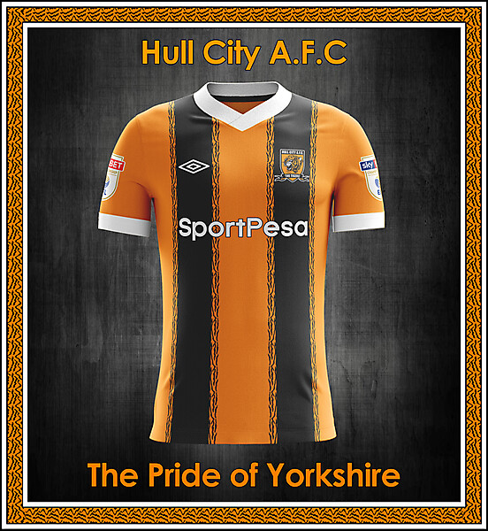 Hull City AFC home concept