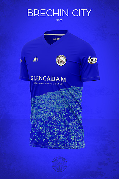 Brechin City Third incorporating an homage to the famous hedge at Glebe Park