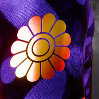 Kaviani Flag concept