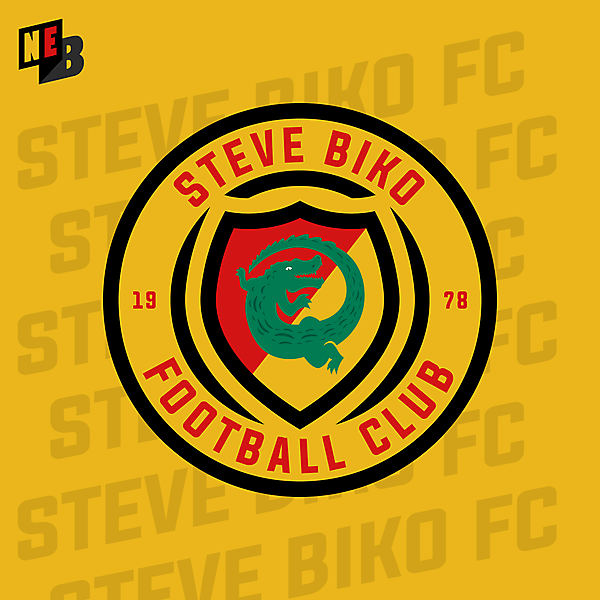 Steve Biko FC