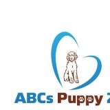 abcspuppyszs