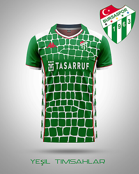 Bursaspor Home Concept