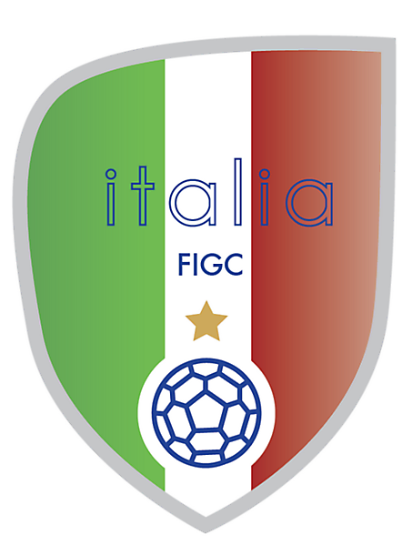 Italian National Team Crest