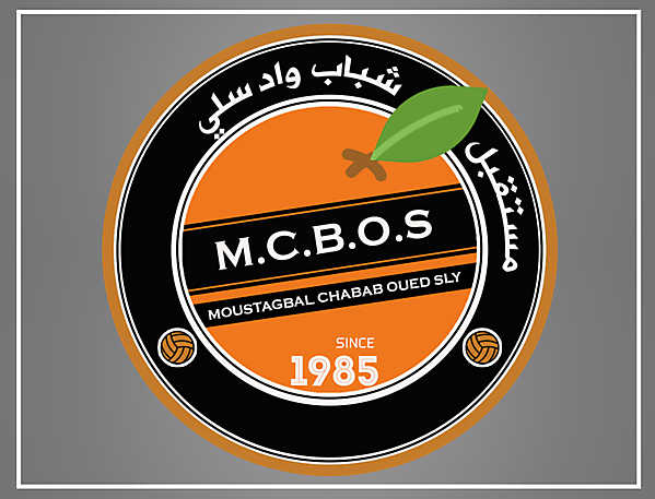 MCB OUED SLI