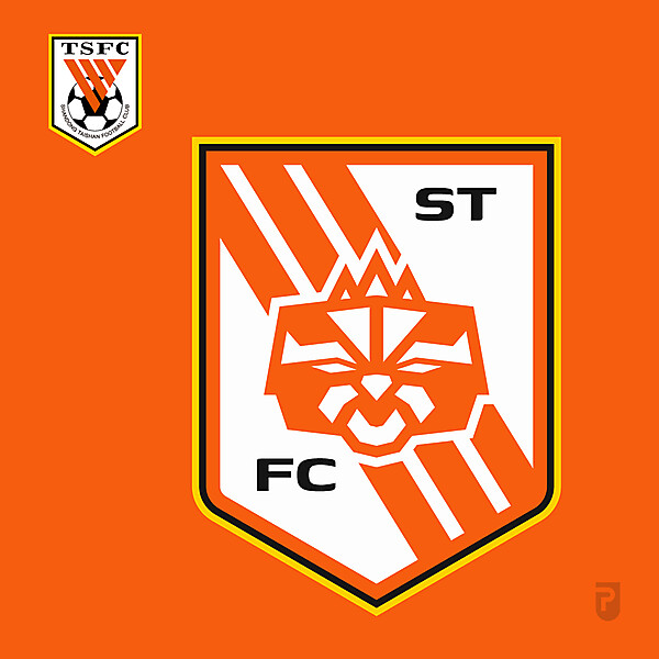 Shandong Taishan FC