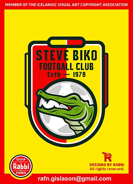 Steve Biko FC