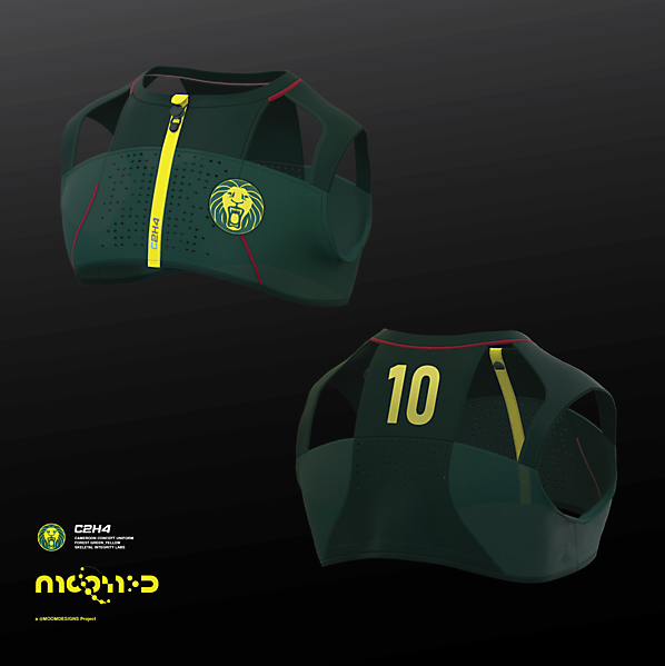 2022 Cameroon home shirt concept