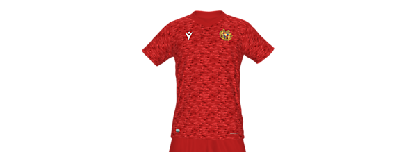 Armenia National Team Fantasy Home Kit