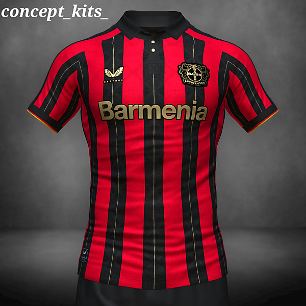 Bayer 04 Champions concept