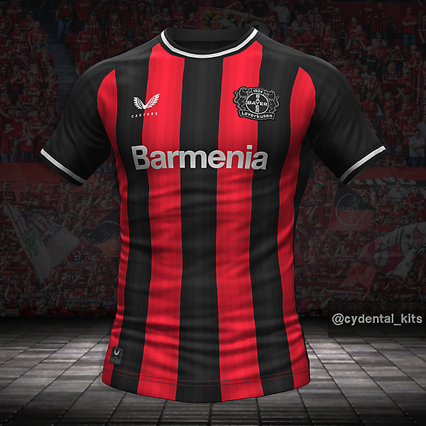 Bayer Leverkusen Home Concept