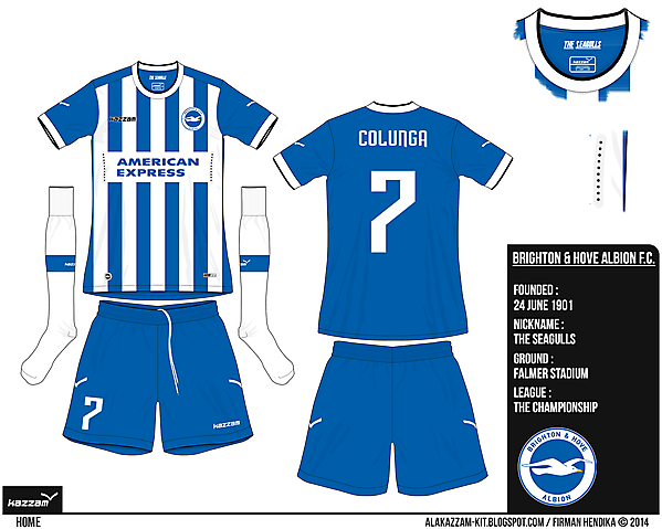 Brighton & Hove Albion Home