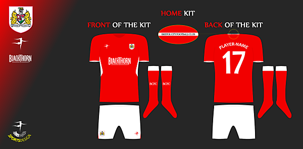 Bristol City 2014/15 Home Kit