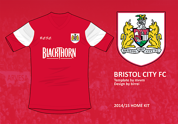 Bristol City FC Home Kit