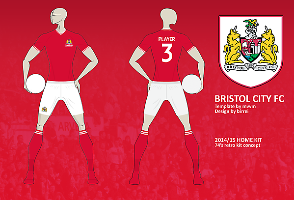 Bristol City FC Home Kit