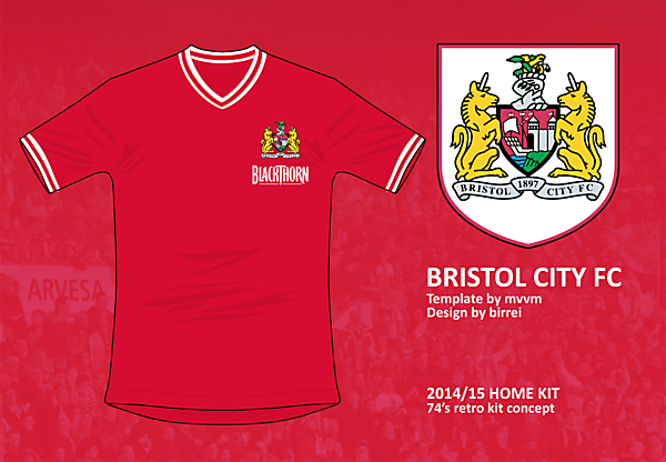 Bristol City FC Home Kit