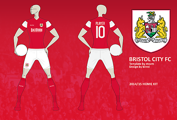 Bristol City FC Home Kit