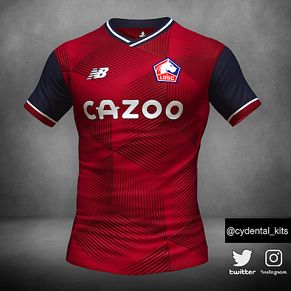 LOSC (Lille) Home Concept